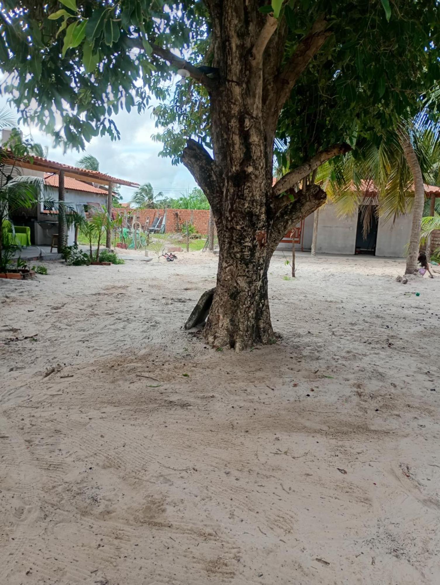 pousada shalon cama e café Santo Amaro do Maranhao Exterior foto