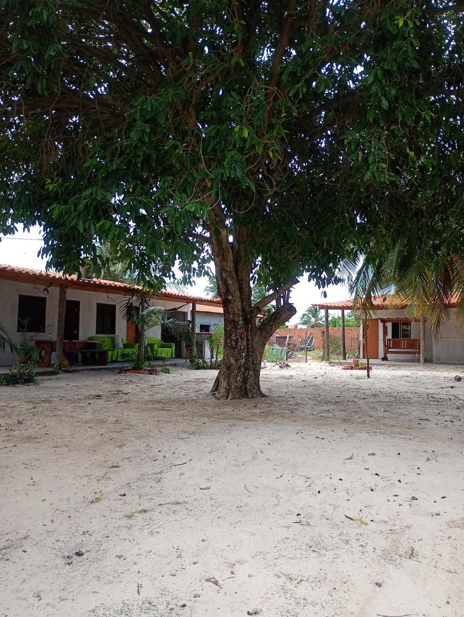 pousada shalon cama e café Santo Amaro do Maranhao Exterior foto