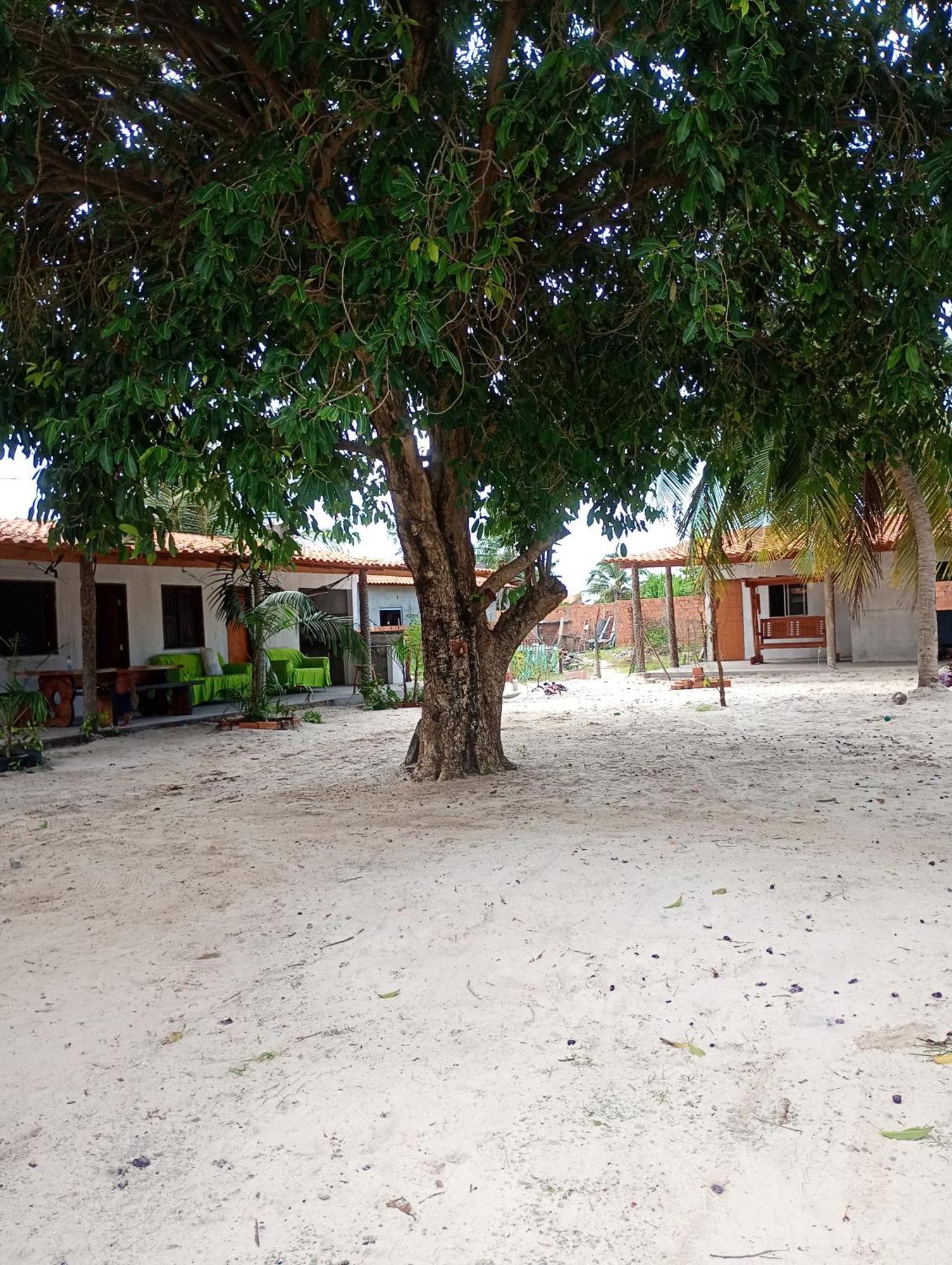 pousada shalon cama e café Santo Amaro do Maranhao Exterior foto